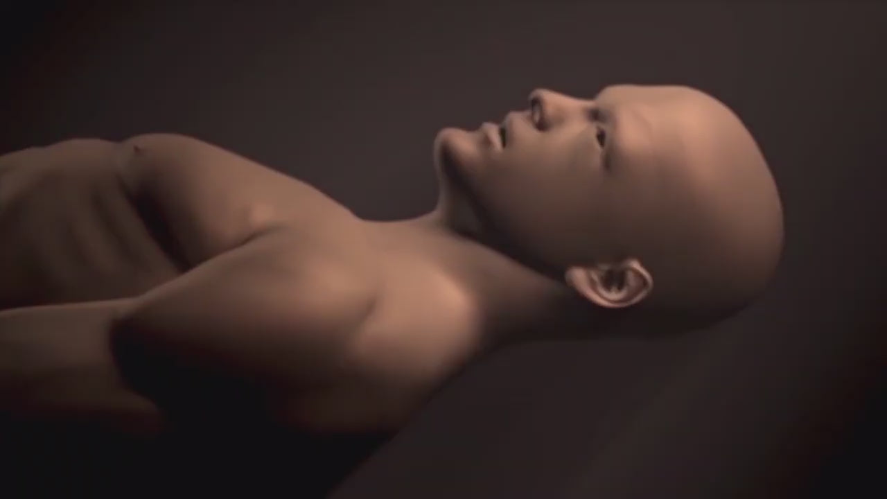 Cargar video: 